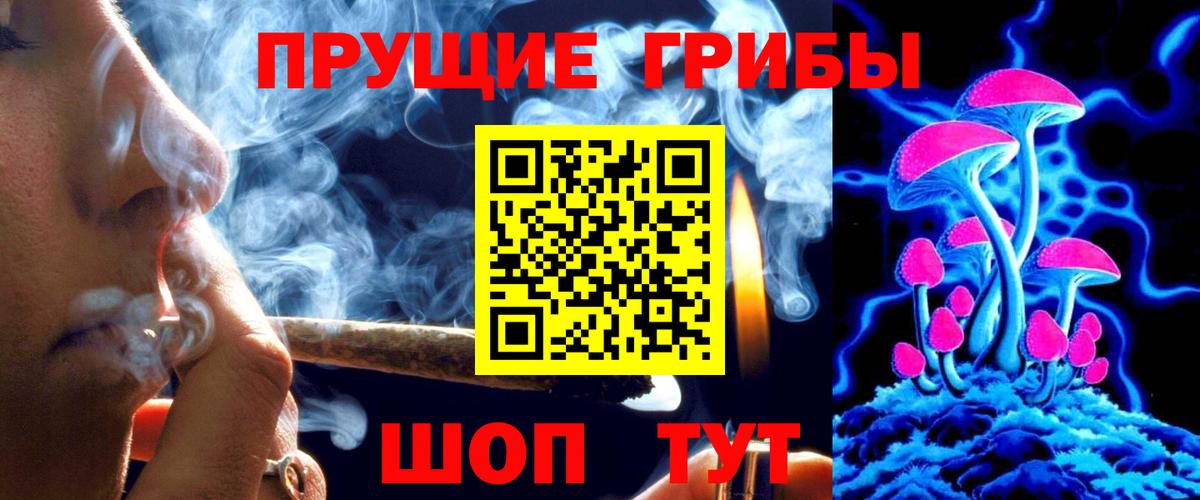 Железногорск  Псилоцибиновые грибы MAGIC MUSHROOMS  Вход с VPN 